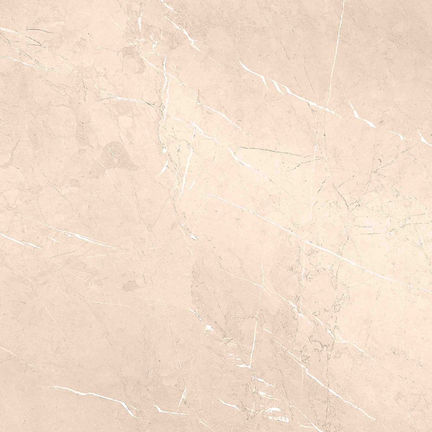Neptune Floor, Wall & Mosaic Tiles