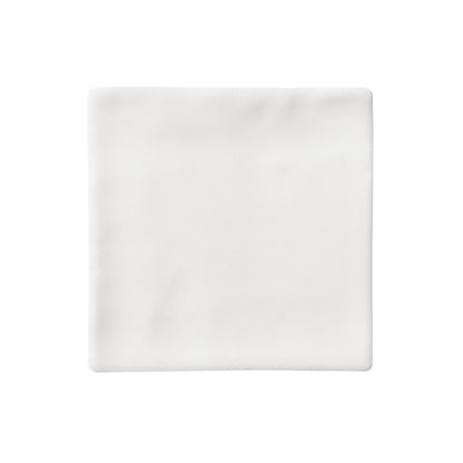 Deluks Ceramic Wall Tile