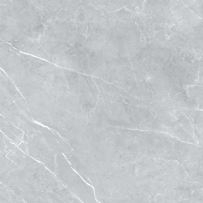 Neptune Floor, Wall & Mosaic Tiles